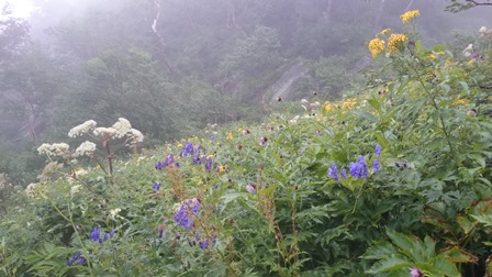 b0148050_1725230.jpg