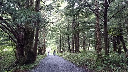 b0148050_17271195.jpg