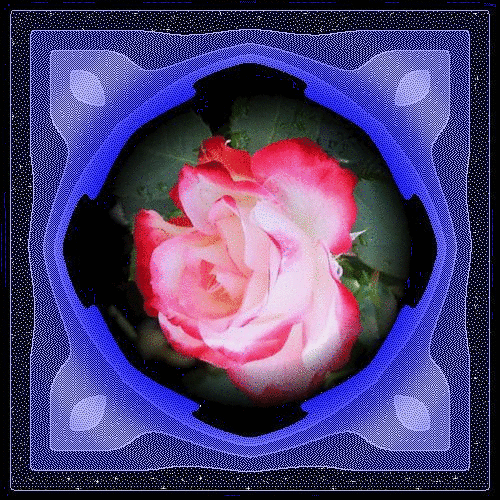 b0133752_1783193.gif