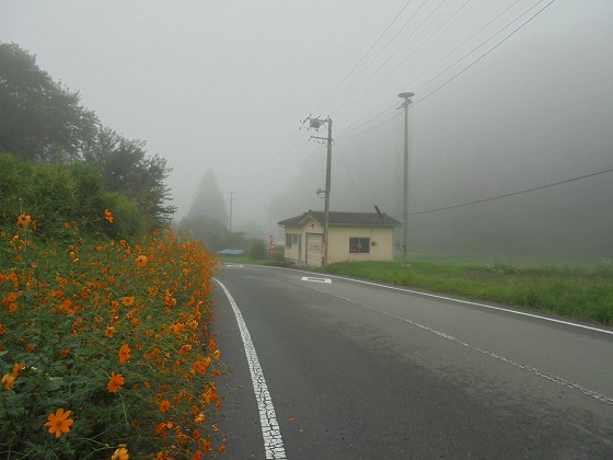 a0118461_7163038.jpg