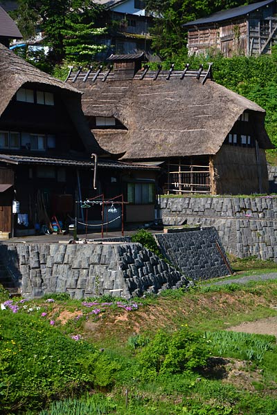 c0043361_23134628.jpg