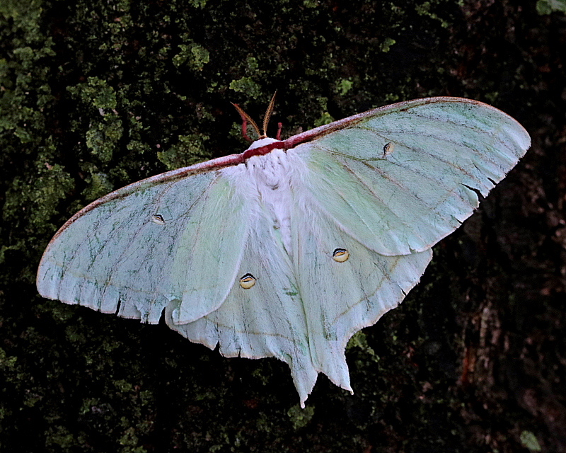 c0305565_18272579.jpg