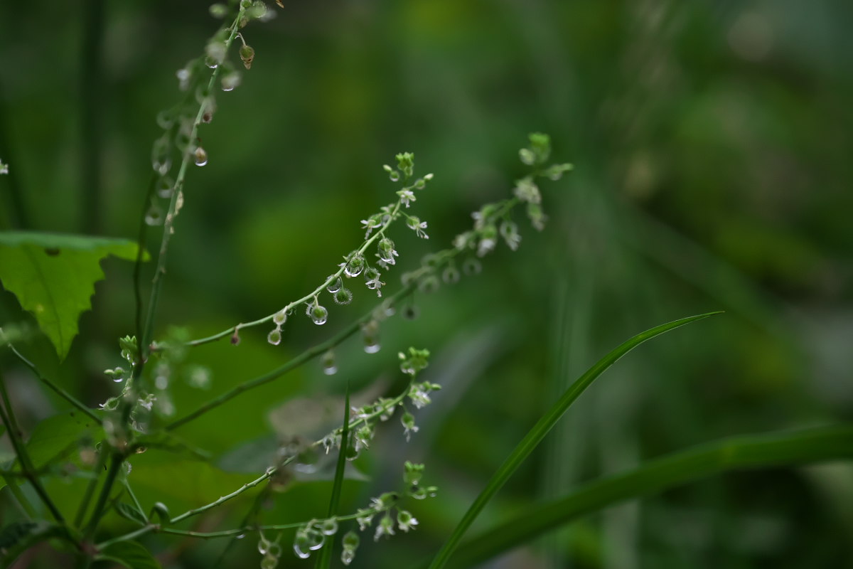 a0083081_1536321.jpg
