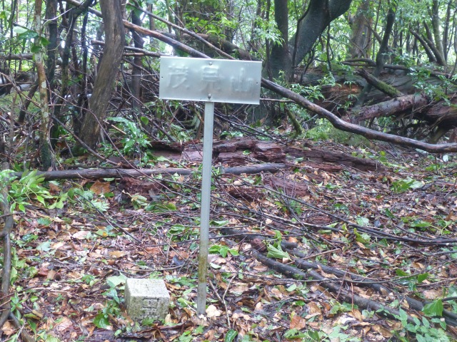 f0357487_23264164.jpg