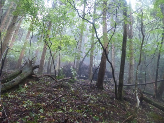 f0357487_2331712.jpg