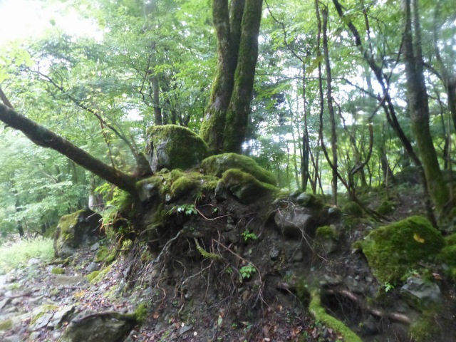 f0357487_23323291.jpg