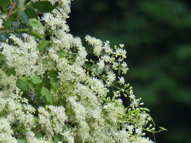 f0357487_23362511.jpg