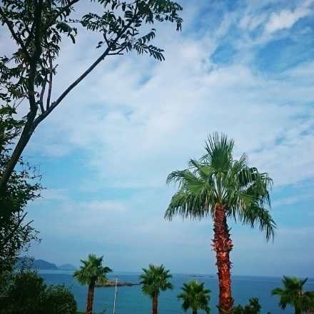 c0137300_19582616.jpg