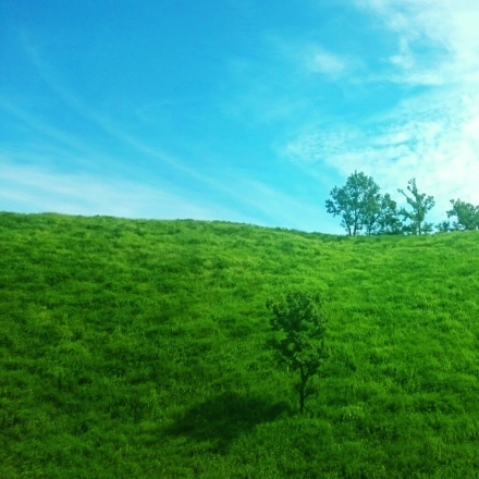 c0137300_20061970.jpg