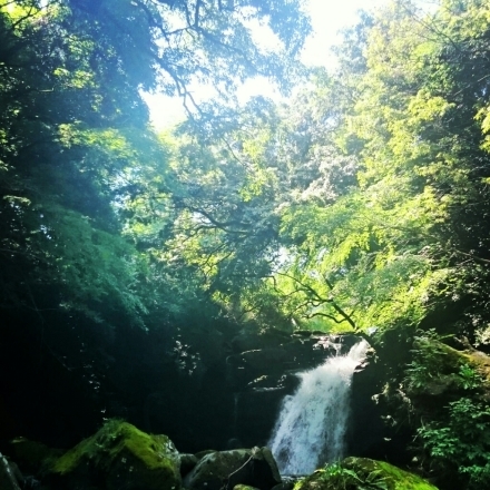 c0137300_20062277.jpg