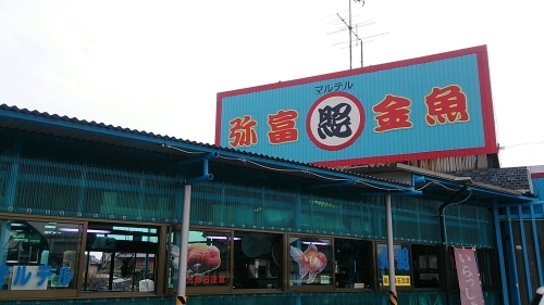 b0298605_15101719.jpg