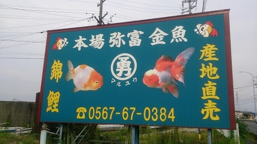 b0298605_15115716.jpg