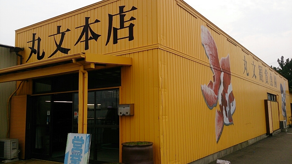 b0298605_15153189.jpg