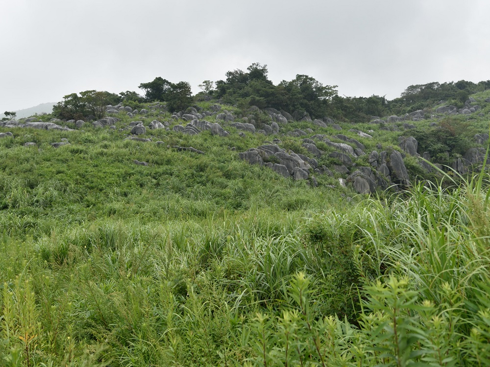 b0277008_2122146.jpg