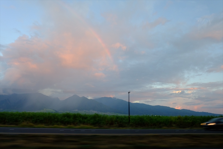 f0113108_8165238.jpg