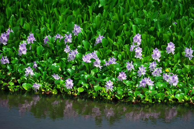 a0263109_185154.jpg