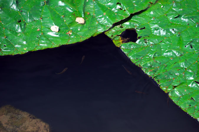 a0263109_19573814.jpg
