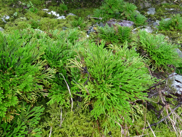 f0231709_23254671.jpg