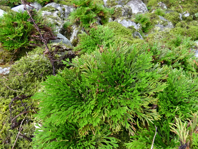 f0231709_23261474.jpg