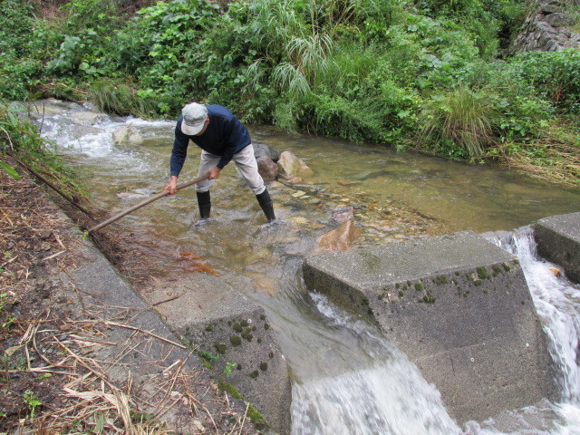 f0341616_17215410.jpg
