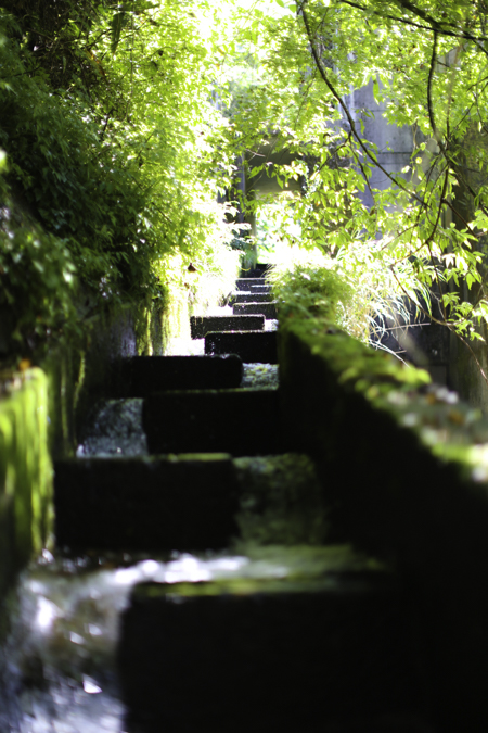 e0200926_22976.jpg