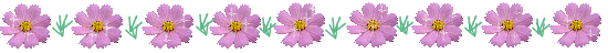 a0098027_22583588.gif