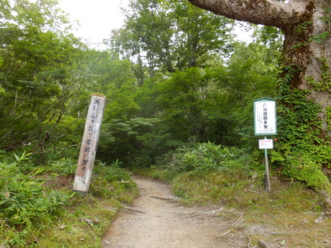 b0281732_9112591.jpg