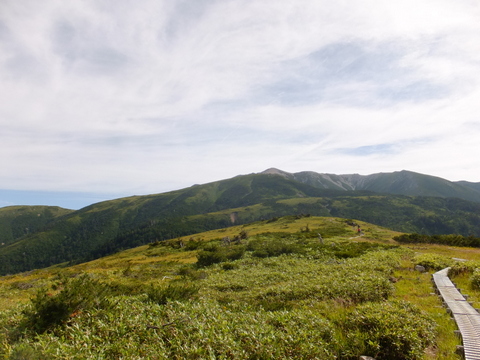 b0281732_913423.jpg