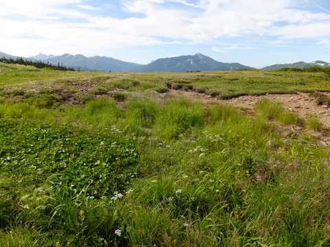 b0281732_9153932.jpg