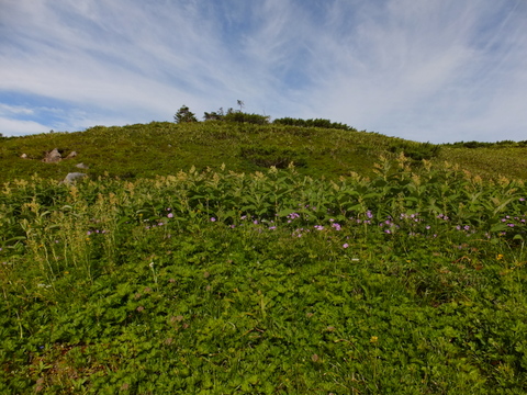 b0281732_9154689.jpg