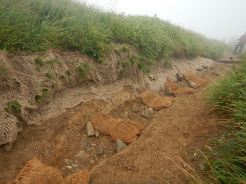 f0118332_00123586.jpg