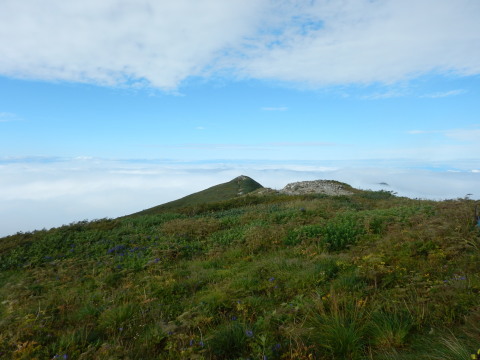 f0118332_00165976.jpg