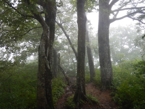 f0118332_00270271.jpg