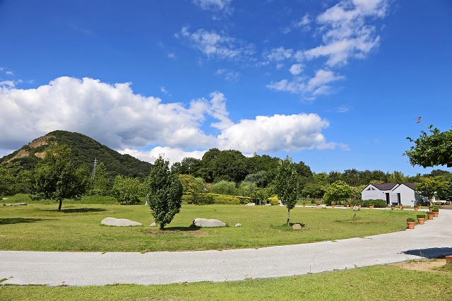 a0242438_207229.jpg
