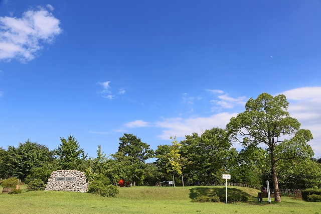 a0242438_2072786.jpg