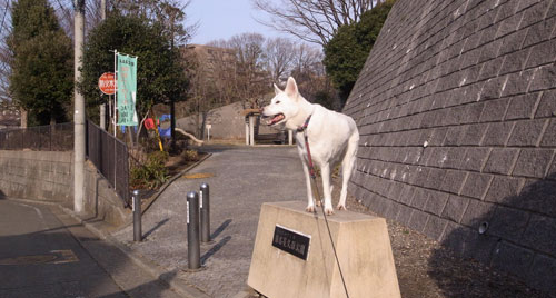 a0117039_203589.jpg
