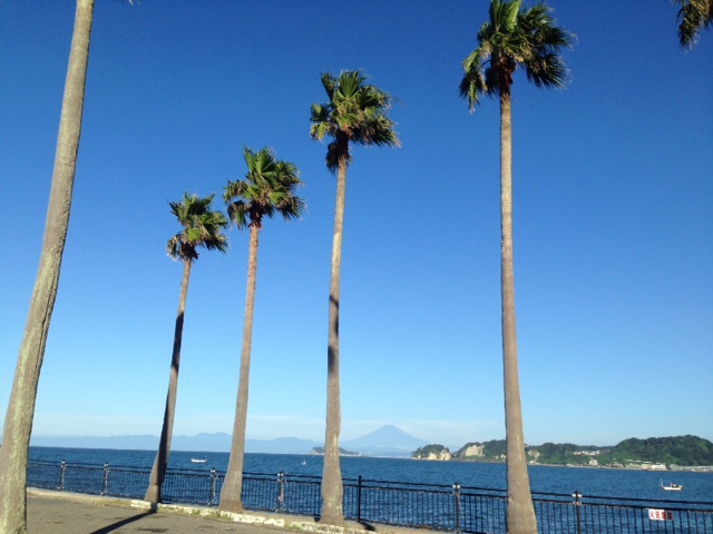 c0343447_852260.jpg