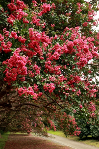a0120949_692531.jpg