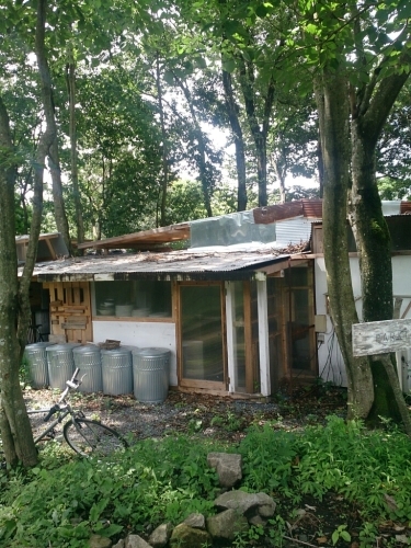 f0341250_00083086.jpg