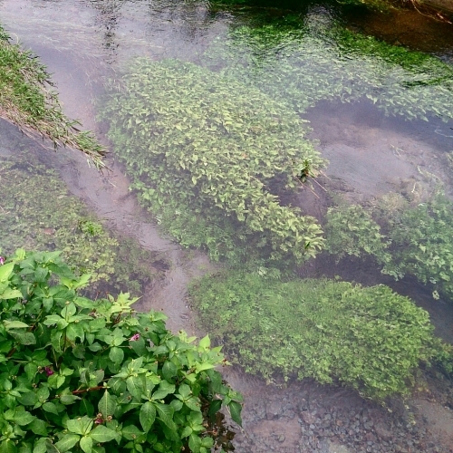 f0341250_00090950.jpg