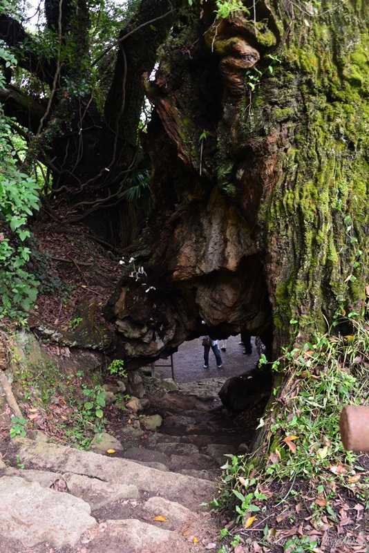 c0122455_12592068.jpg