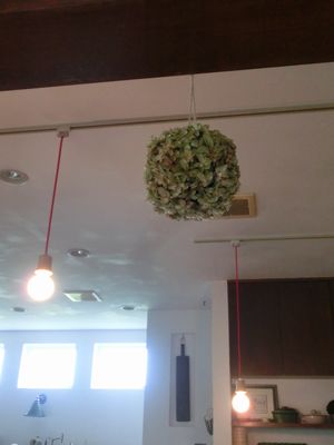 c0120363_10411654.jpg