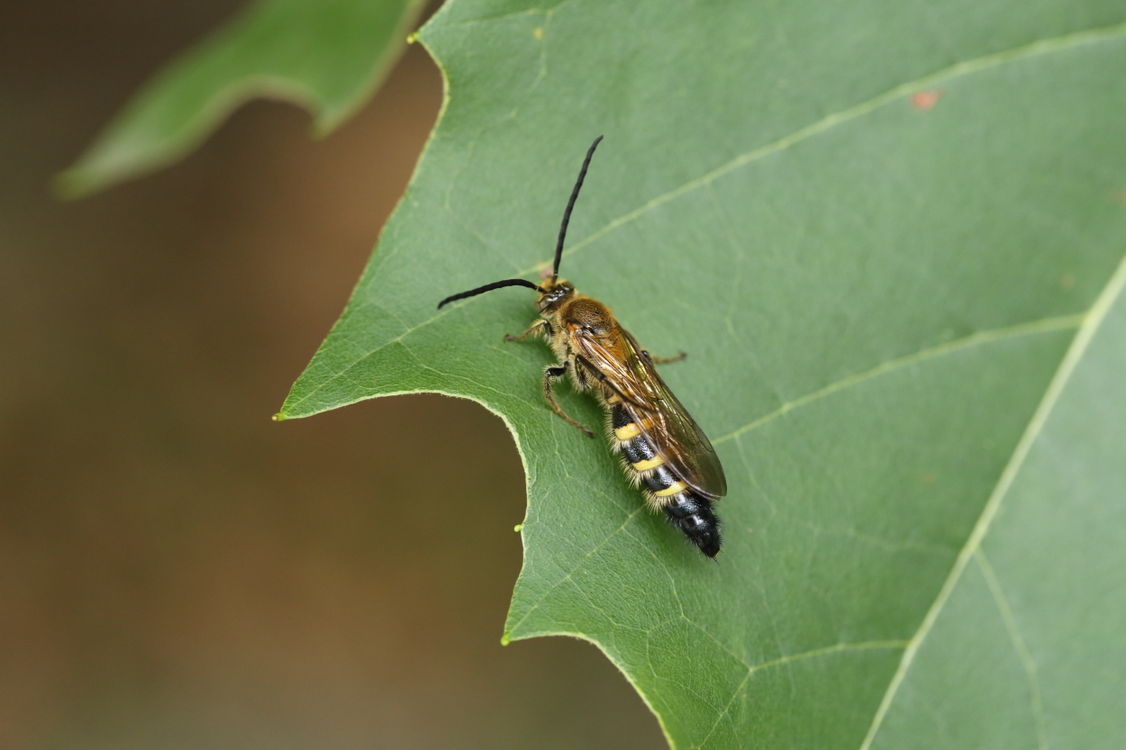 e0249878_00415396.jpg