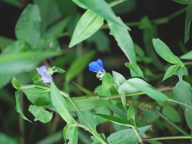 e0025300_17392974.jpg