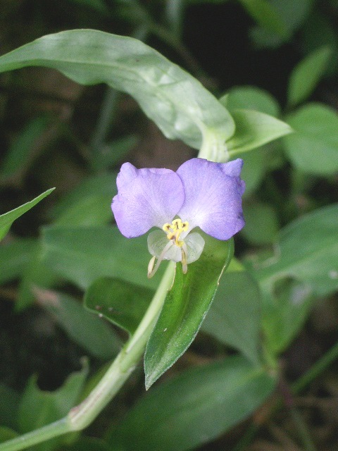 e0025300_17405033.jpg