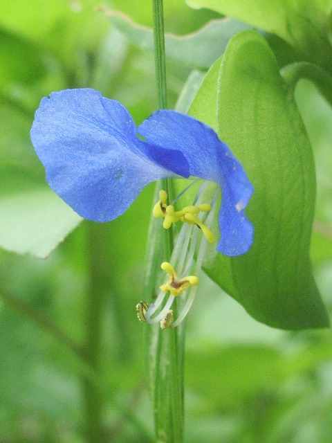 e0025300_18154729.jpg