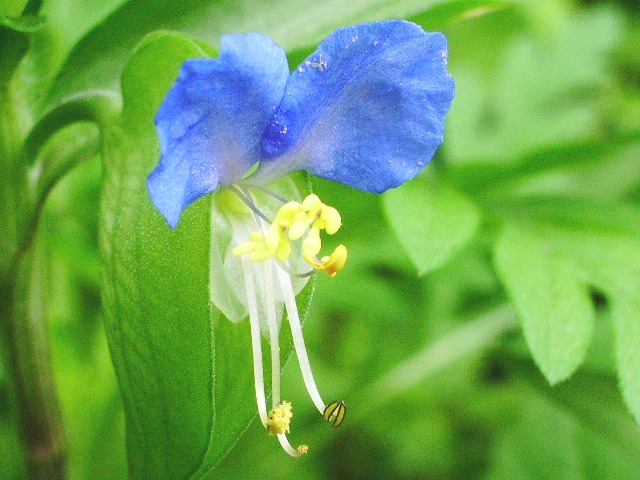 e0025300_18364910.jpg