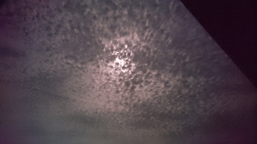 d0149105_743461.jpg