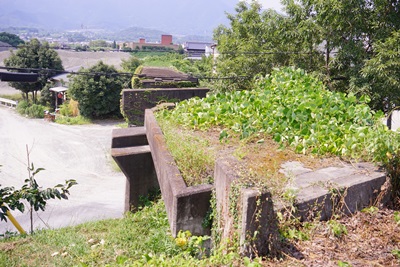 f0217507_20185799.jpg