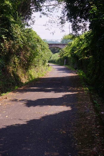 f0217507_20221445.jpg